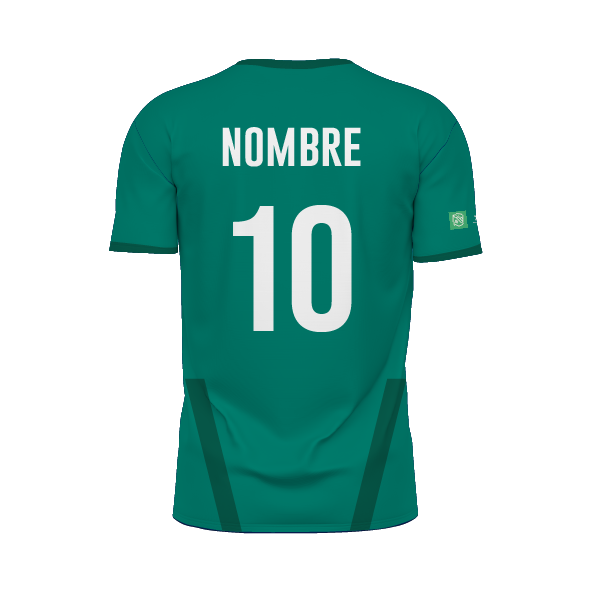 Jersey Fútbol Caballero - Verde